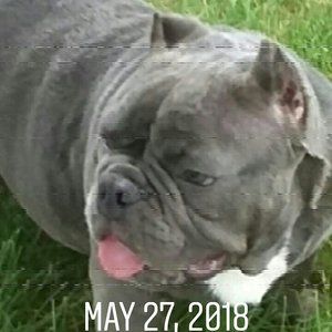 Meet your Posher, Danny